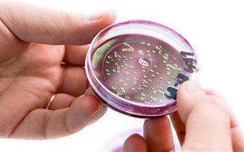 Bacteria in the secretion of the prostate